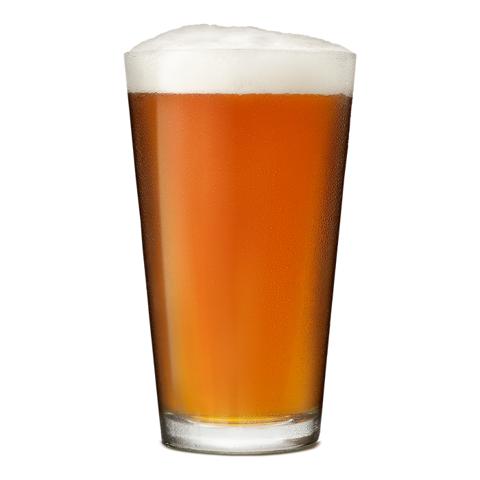 India Pale Ale - All Grain Recipe Kit