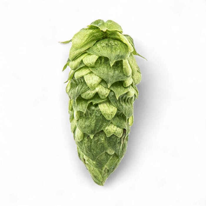 Simcoe T90 13.3% AA Hop Pellets - Various Sizes