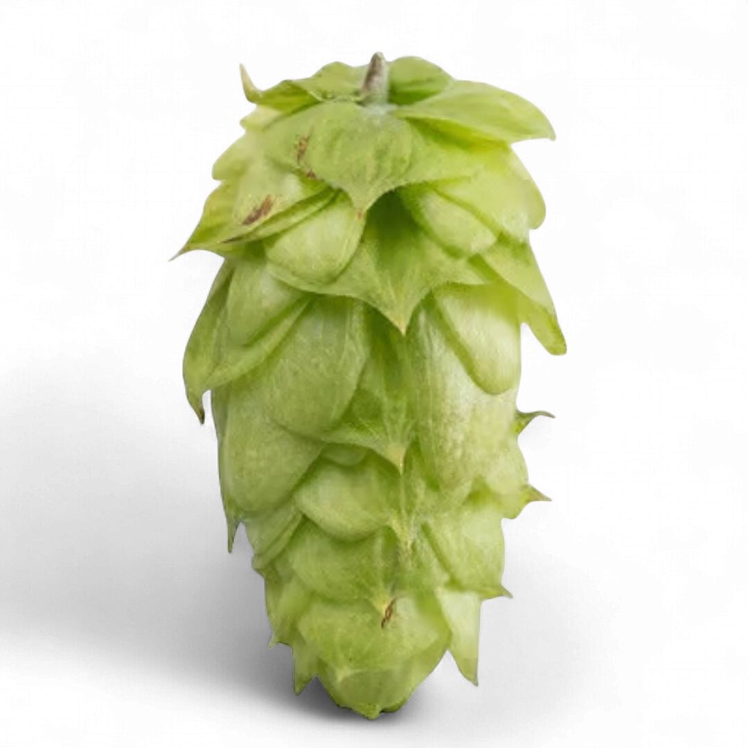 Pride of Ringwood T90 9% AA Hop Pellets - Various Sizes