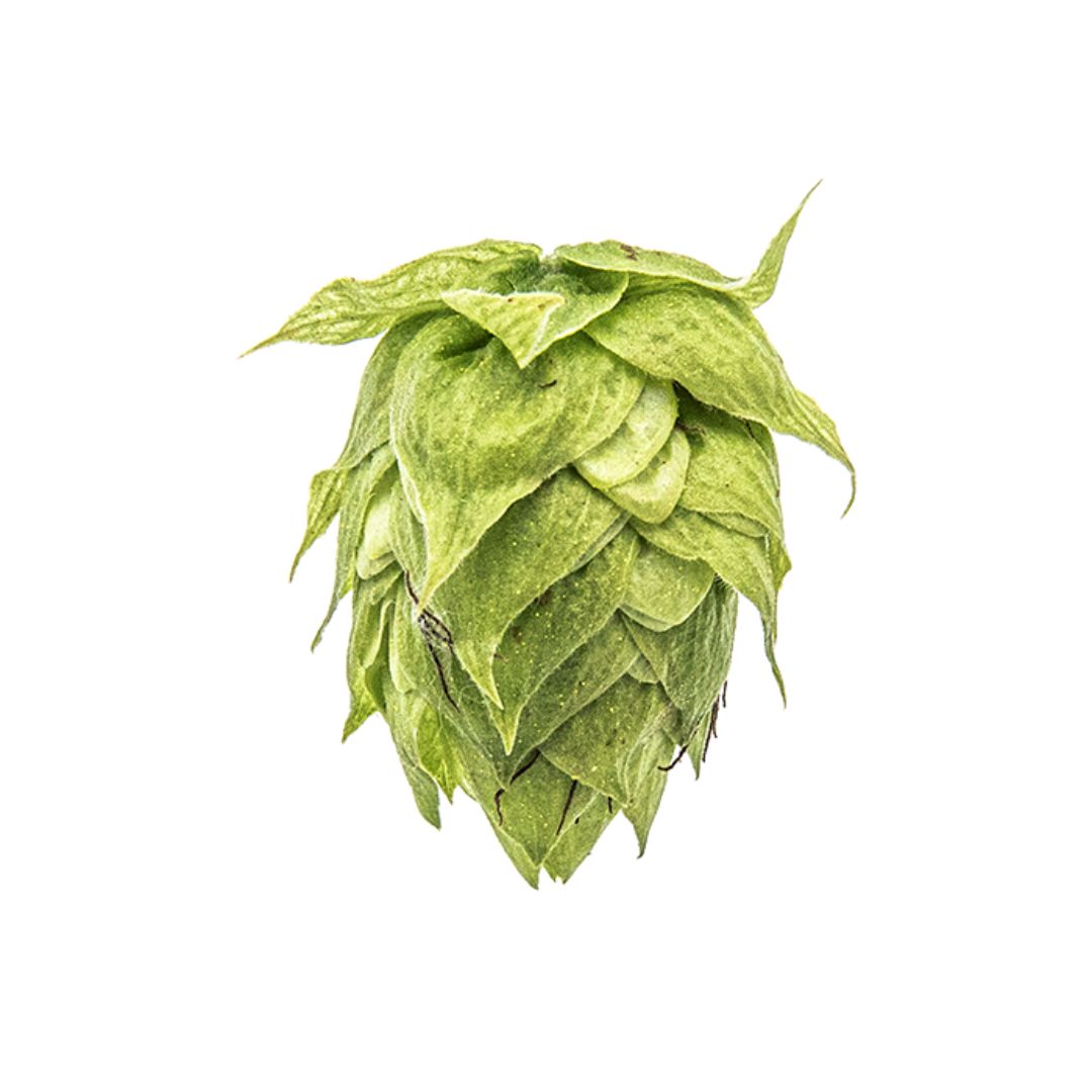 East Kent Goldings T90 5% AA Hop Pellets - Various Sizes, Weight: 50g