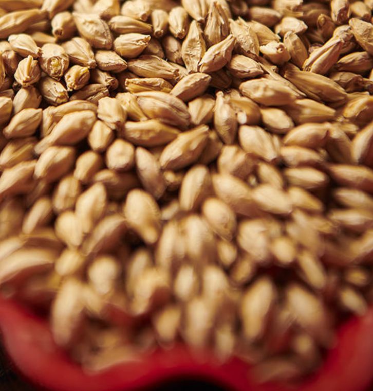 Munich Malt T1 - Weyermann 25kg