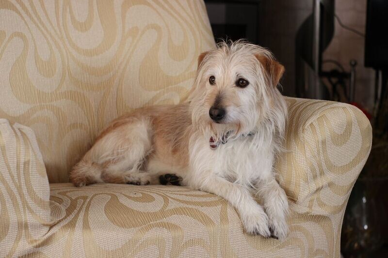 1 place Fauteuil ou Pouf en tissu