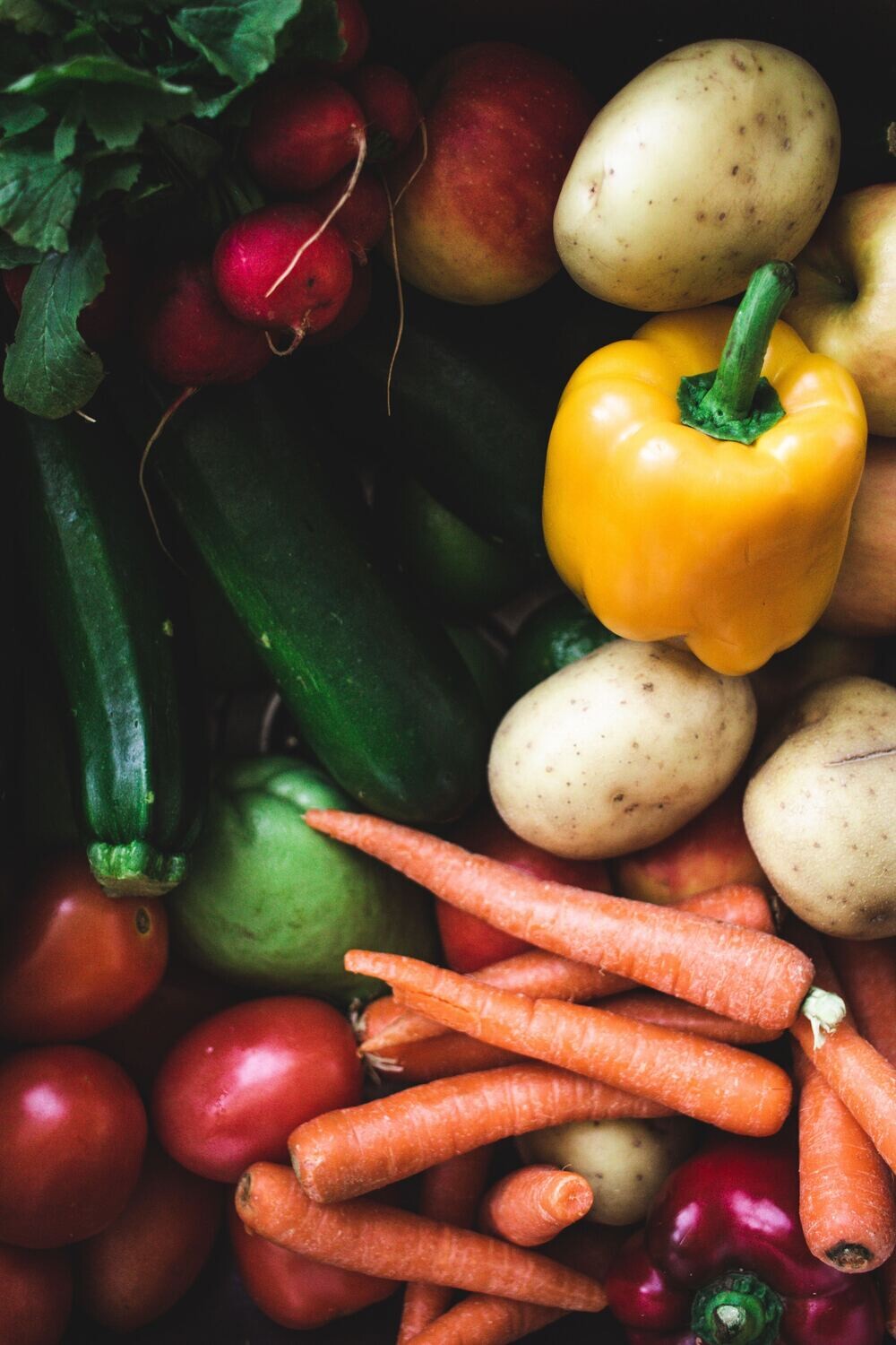 LARGE Fresh Food Box