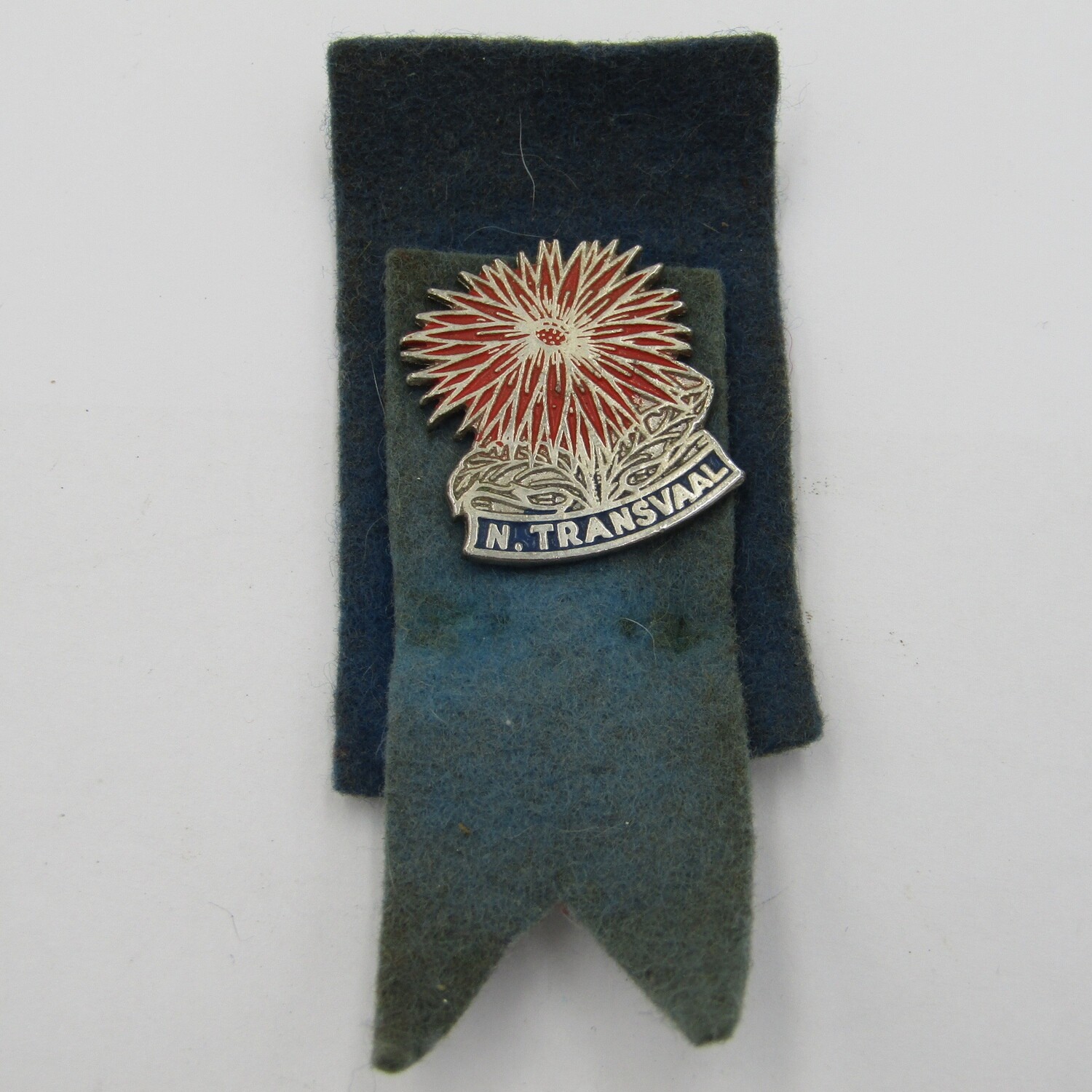 Northern Transvaal Rugby pin badge - vintage