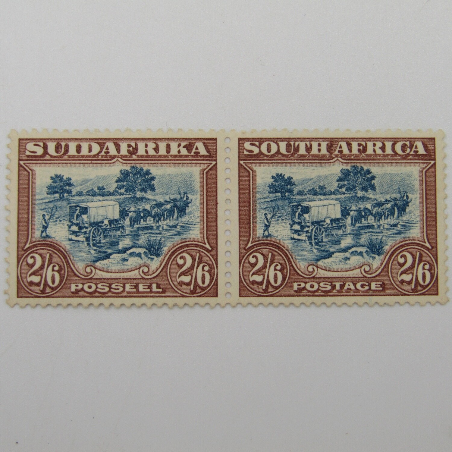 South Africa 2/6 stamp SACC 50a a mint pair with light hinge marks