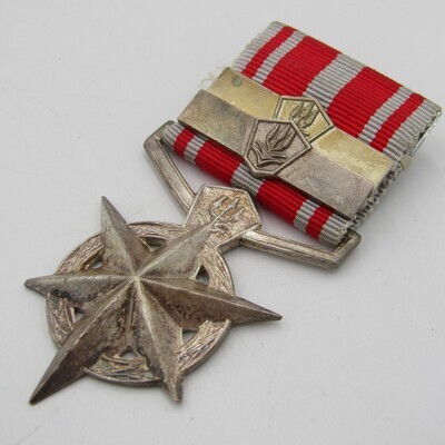 SA Police combatting terrorism medal with 2 bars issued to W58492H Sergeant GJP Knoetze