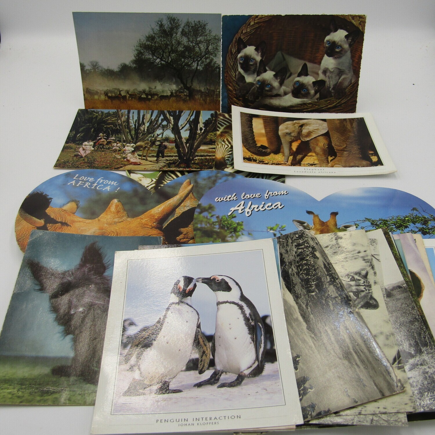 Lot of 25 postcards with animals - different shapes - most unused
