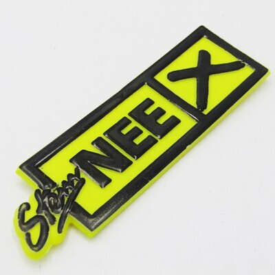 Original South Africa 1983 referendum Stem Nee badge
