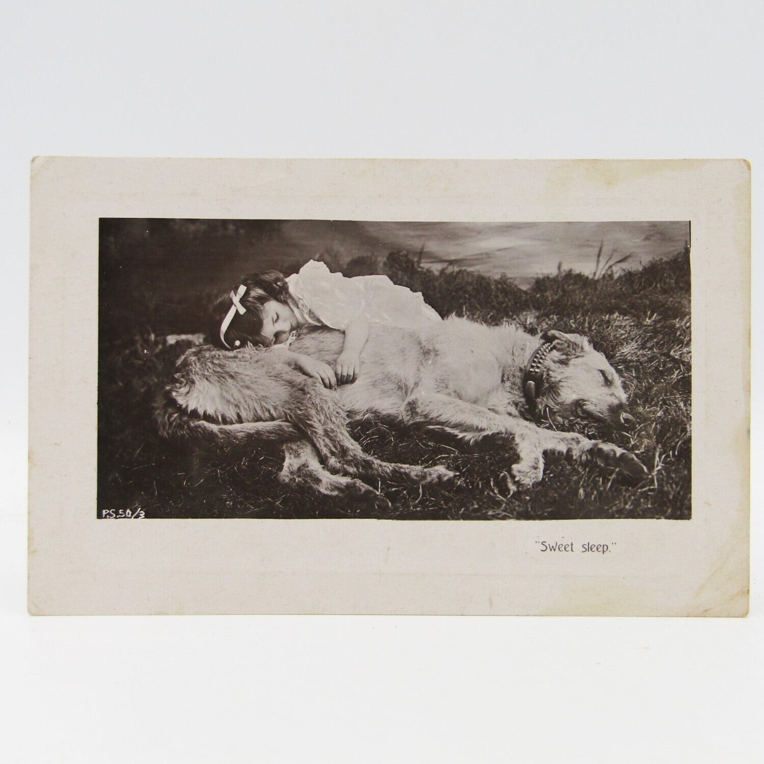 Antique postcard of little girl and Irish Wolfhound