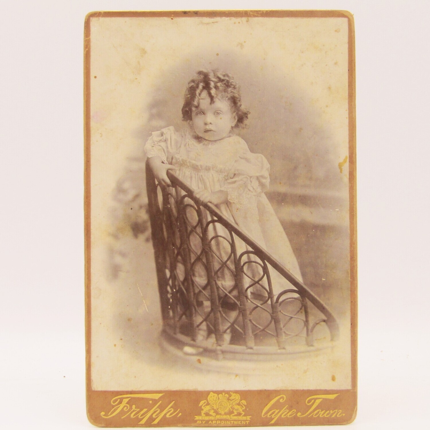 Antique photo of baby / young child standing on a chair taken by Tripp - Cape Town early 1900's
