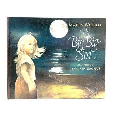 The big big sea by Martin Waddell