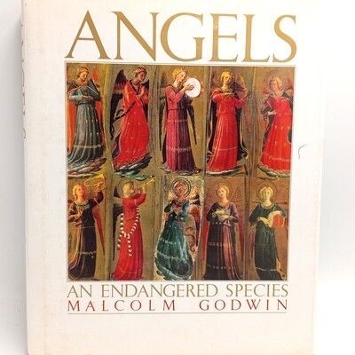 Angels - An Endangered species by Malcolm Godwin