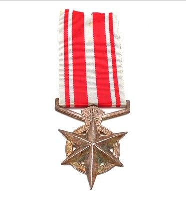 SA Police Combatting terrorism medal issued to W85701N constable JH de Beer