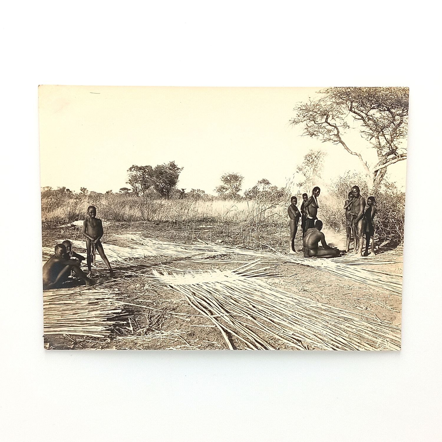 Old South West Arica photo early 1900&#39;s - Ovambo tribe members