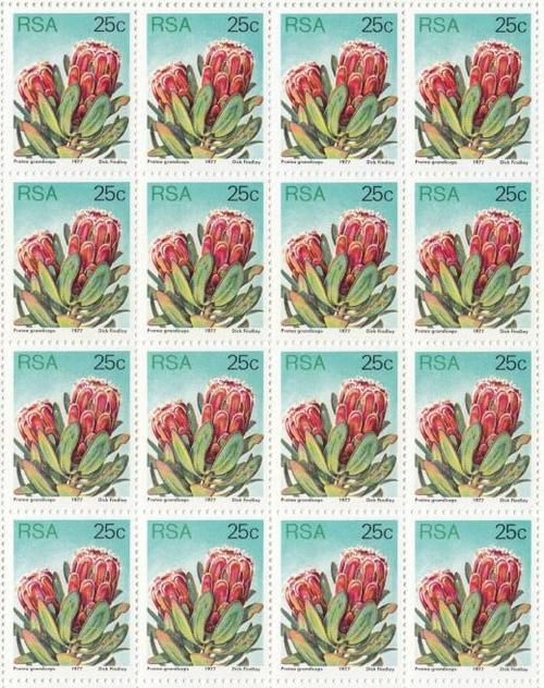 SACC 430 South Africa Full Sheets mint and Cancelled - 03-06-1980