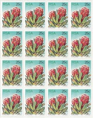 SACC 430 South Africa Full Sheets mint and Cancelled - 03-06-1980