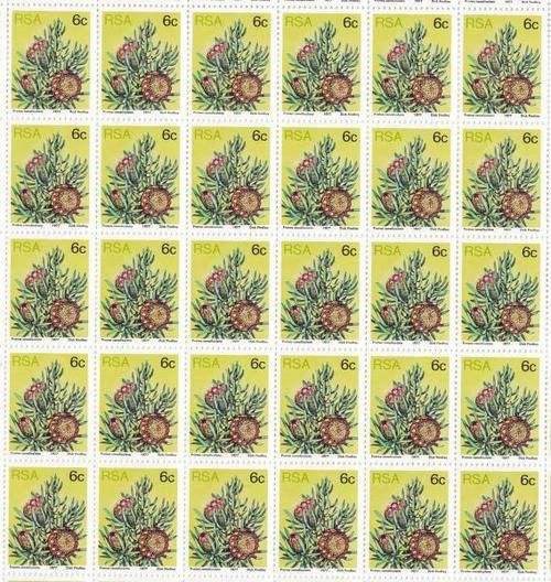 RSA SACC 423a - Full Sheet set mint and cancelled - Protea 6 cent