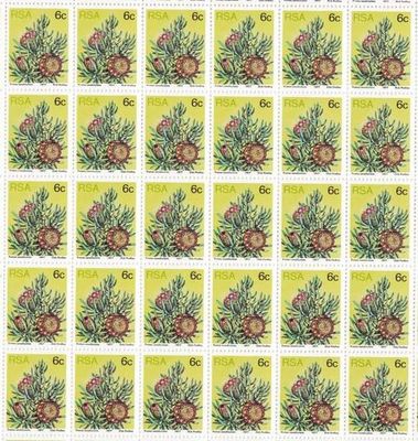 RSA SACC 423a - Full Sheet set mint and cancelled - Protea 6 cent