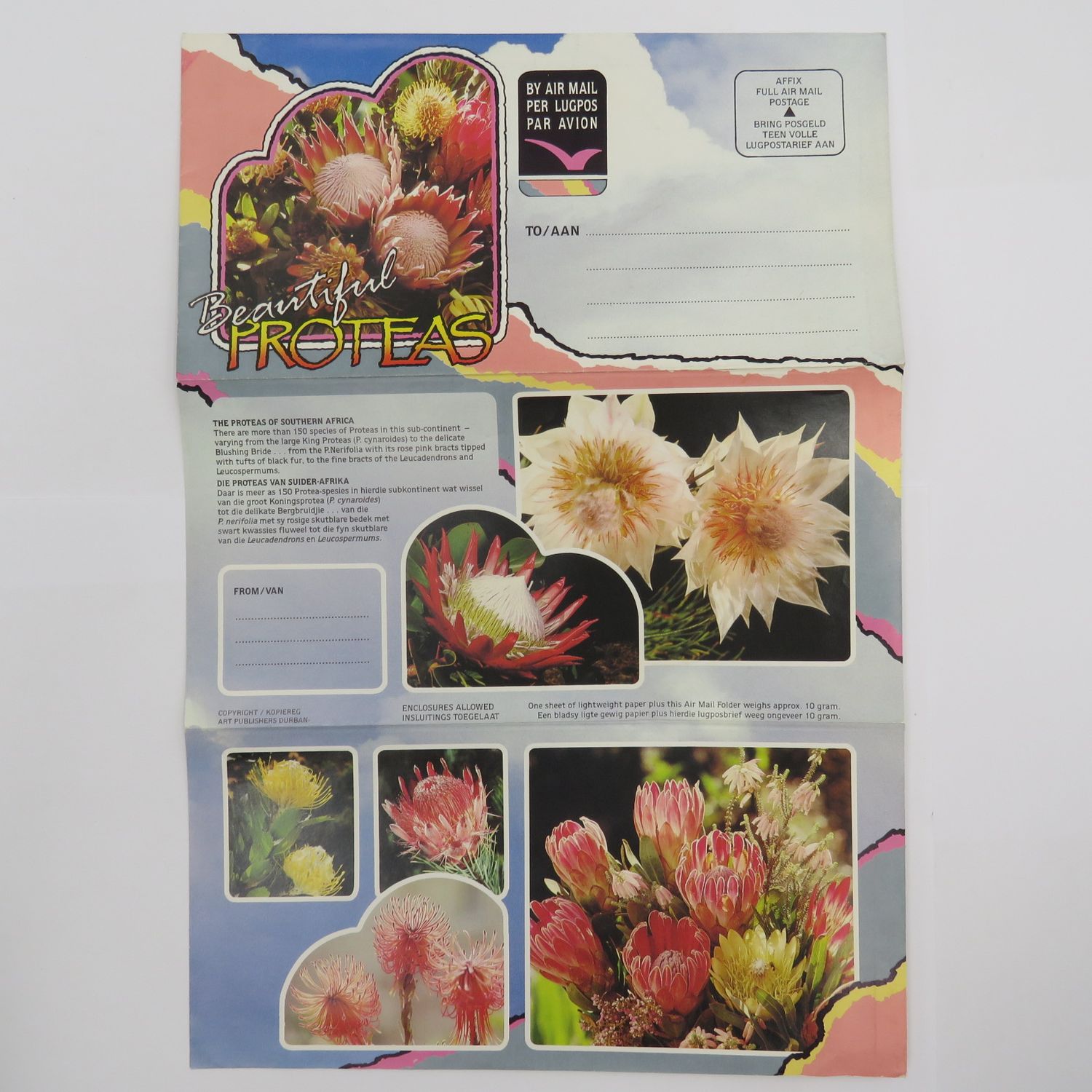 Vintage pre printed protea airmail letter - unused