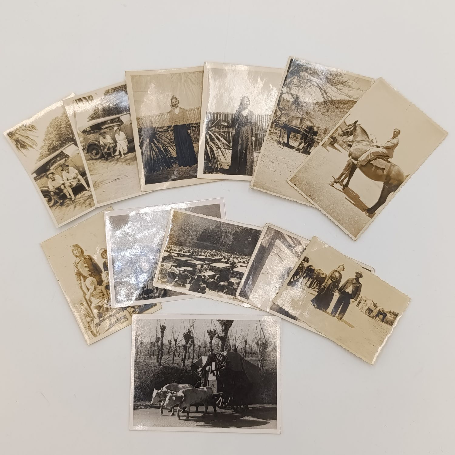 Lot of 12 antique photos of people, animals, and vehicles