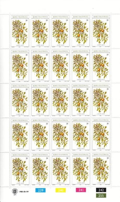 Bophuthatswana - SACC 56-59 Full pages of mint and used Stamps, Edible Wild Fruit
