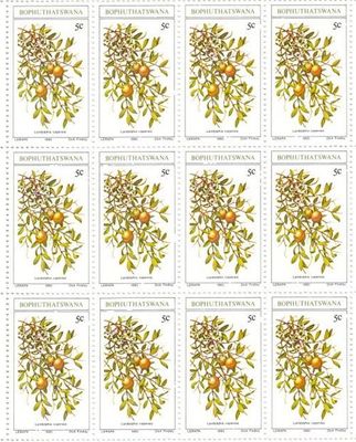 Bophuthatswana - SACC 56-59 Full pages of mint and used Stamps, Edible Wild Fruit
