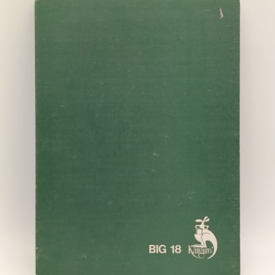 18 page album with well over 500 Rhodesia mint stamps and some used