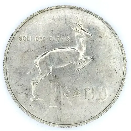 1967 RSA Pregnant Springbok - an excellent example of this R1