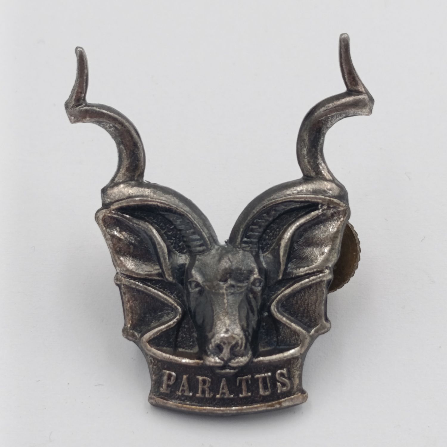 SWATF Area Force cap badge