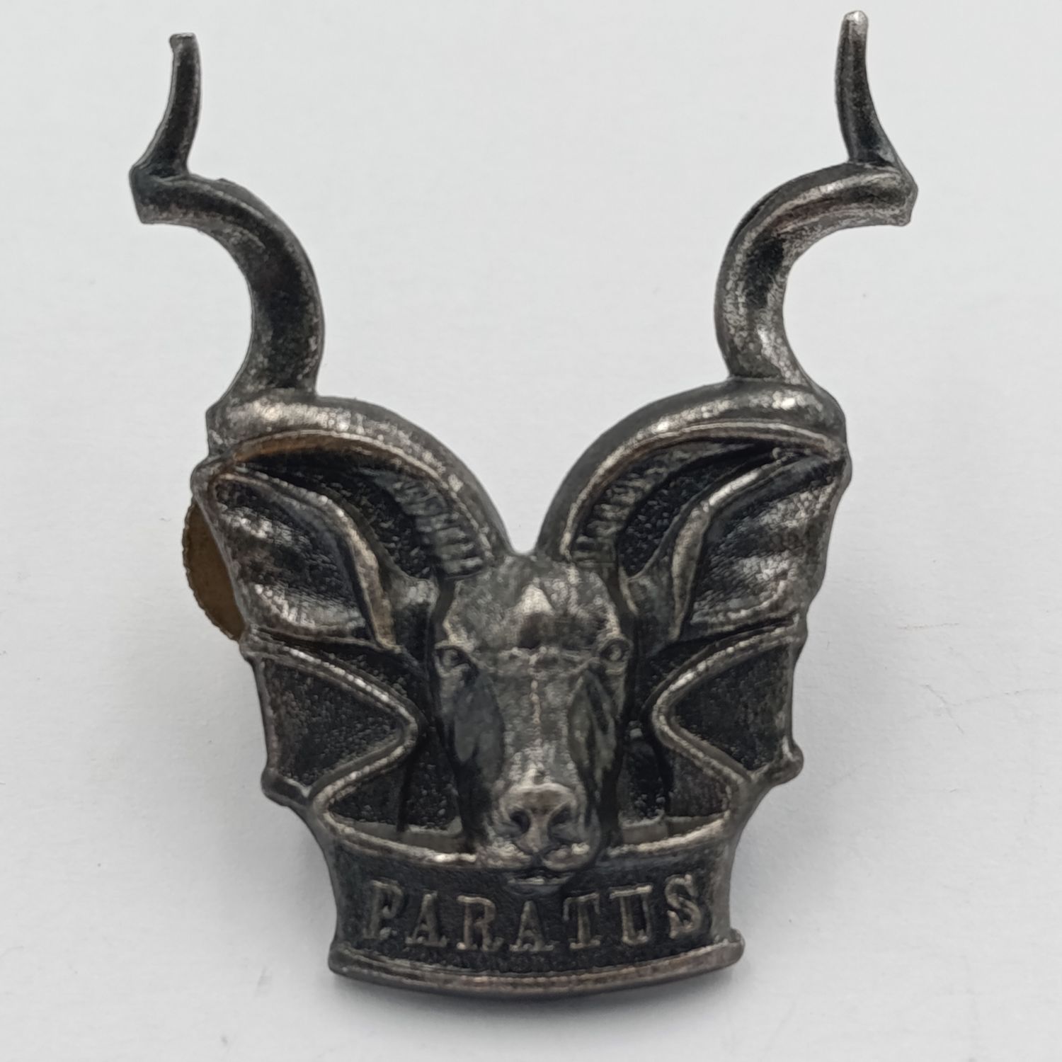 SWATF Area Force cap badge