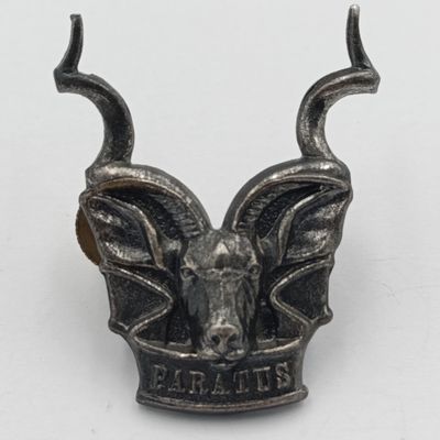 SWATF Area Force cap badge
