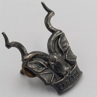 SWATF Area Force cap badge