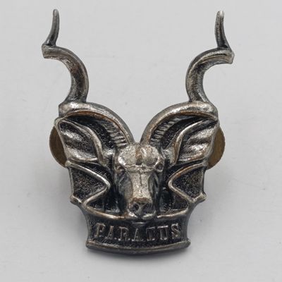 SWATF Area Force cap badge