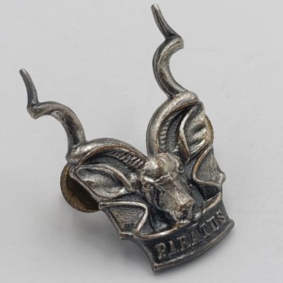 SWATF Area Force cap badge