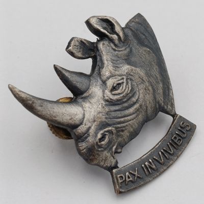 SWA 101 Battalion cap badge