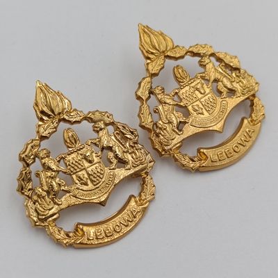 Pair of Lebowa Police warrant officer rank badges