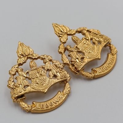 Pair of Lebowa Police warrant officer rank badges