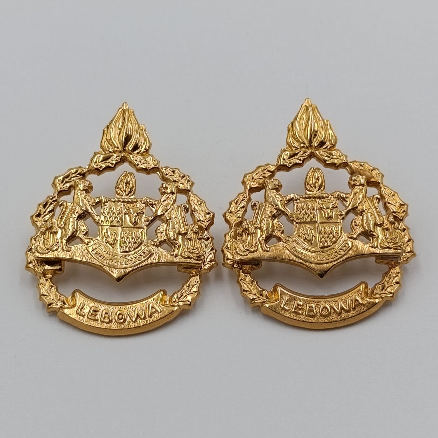 Pair of Lebowa Police warrant officer rank badges
