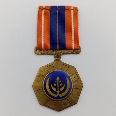 SADF medals