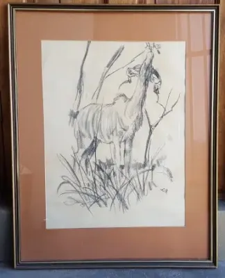 Beautiful charcoal sketch by acclaimed South African artist Zakkie Eloff