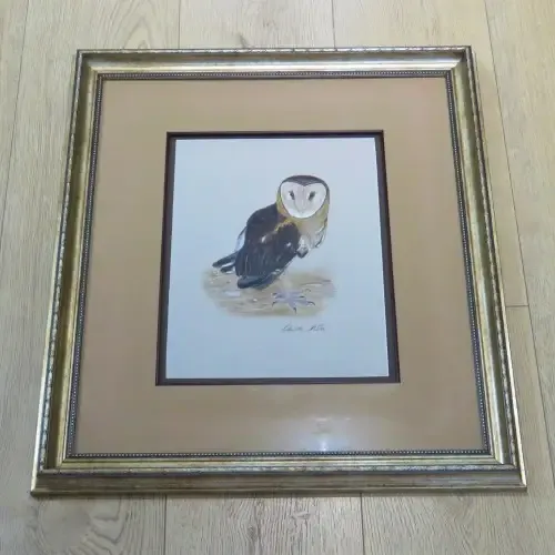 Christa Nolte watercolor painting of owl - Size with frame 75 x 64 cm - Size without frame 29,5 x 39,5 cm