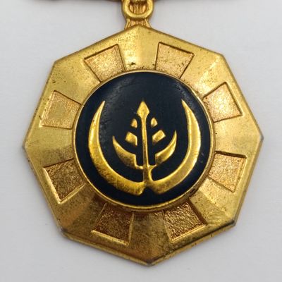 SADF Pro Patria medal - fixed type #217058