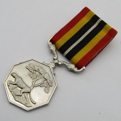 SADF Border War Southern Africa medal #016620