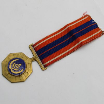 SADF Pro Patria medal #105233 - fixed type