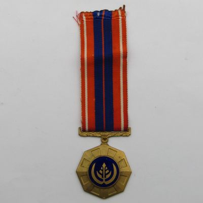 SADF Pro Patria medal #105233 - fixed type