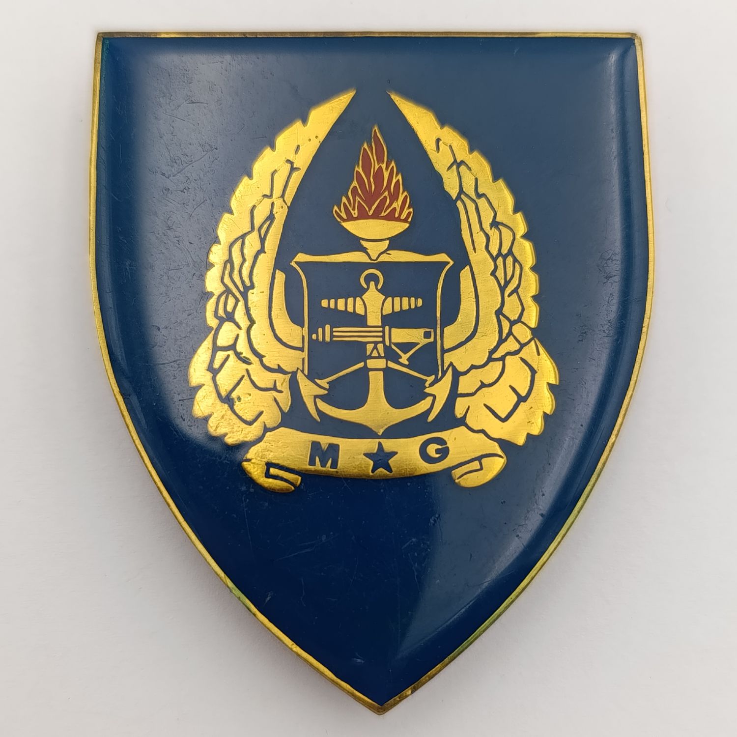 SADF Military Gymnasium shoulder flash