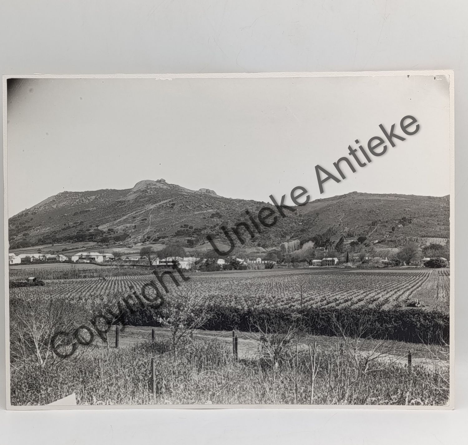 Antique photo of Paarl mountain taken from below Cheve Bethel farm - circa late 1800&#39;s/1900&#39;s