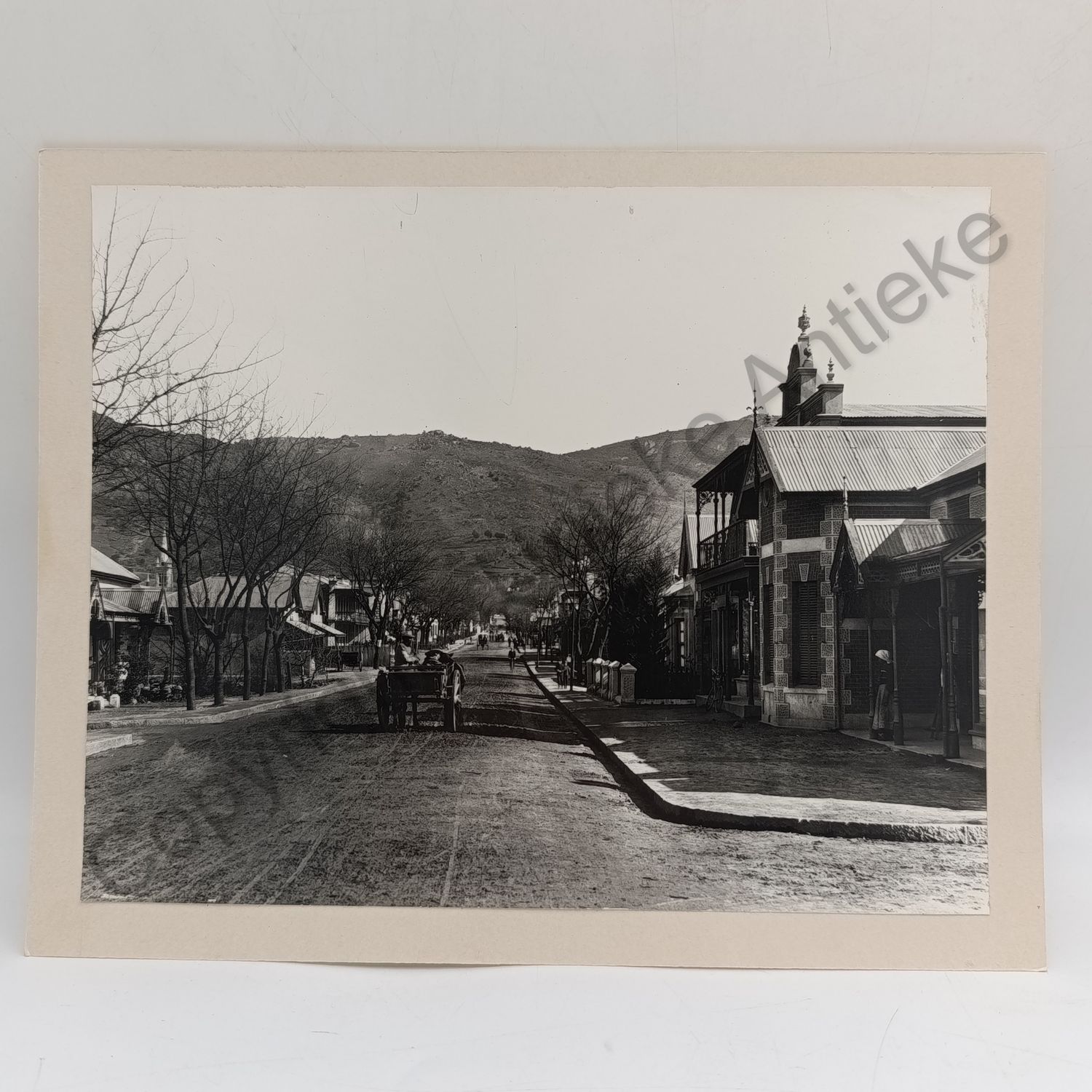 Antique photo of Lady Grey street, Paarl - taken towards Paarl Mountain - circa 1910