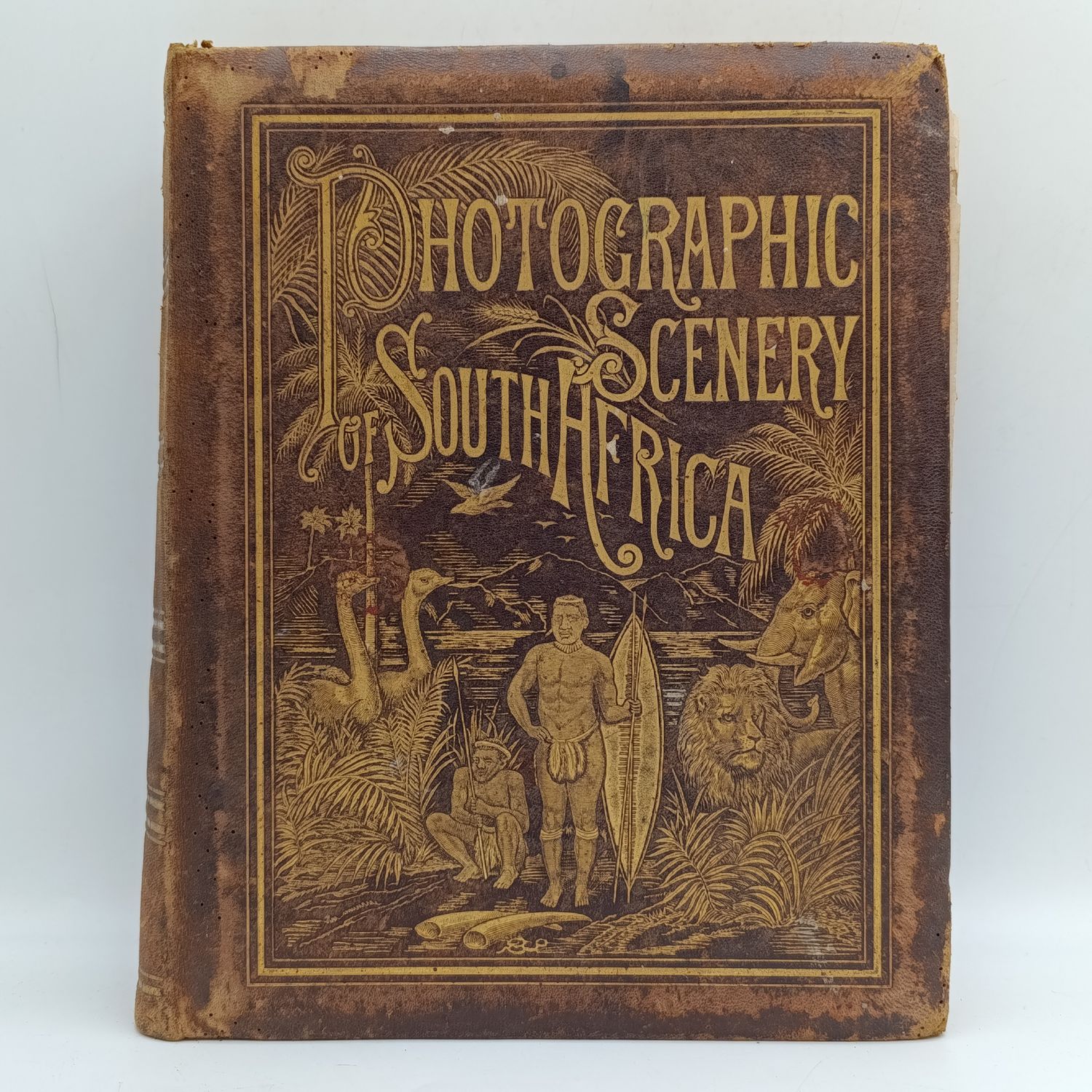 Photographic Scenery of South African book with 100 photos - circa 1880 - some damaged pages