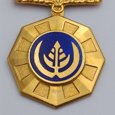 SADF Pro Patria medal - fixed type #184702
